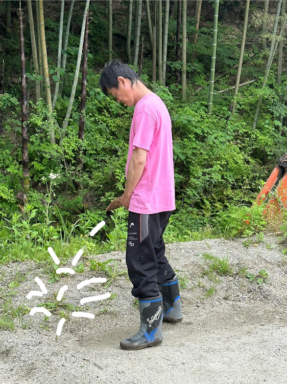 の投稿画像18枚目