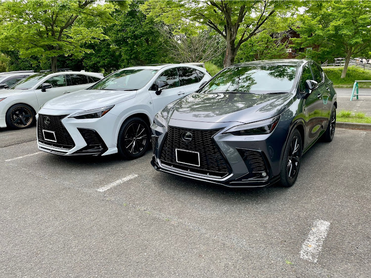 NXのポピー畑・BBQ・いつもイイネ&コメントありがとうございます🙇‍♂️に関するカスタム事例の投稿画像7枚目