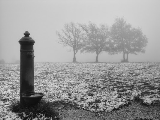 In pieno inverno di fabrizioolivi