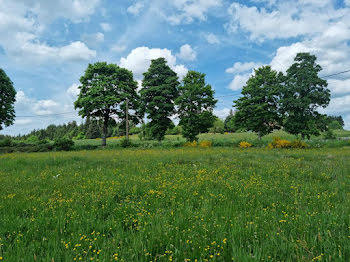 terrain à Raucoules (43)