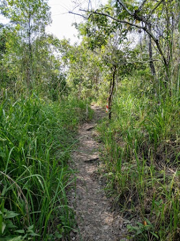 Bukit Batu Putih Gopeng Trail