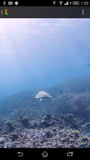 Journey diving of Street View