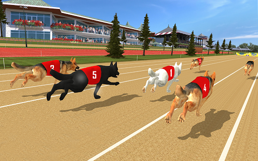 Pet Dog Racing Simulator Games