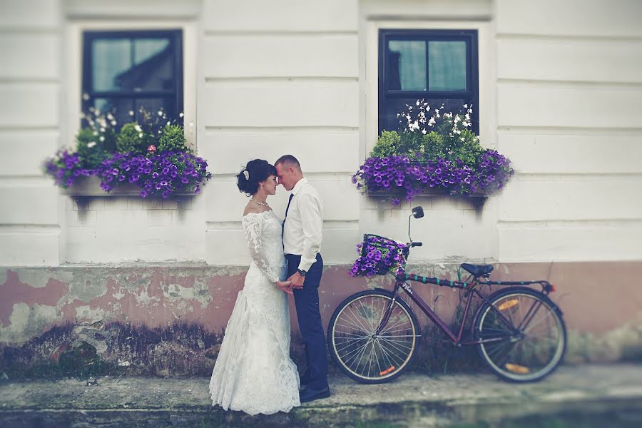 Wedding photographer Aleksey Kamyshev (alkam). Photo of 29 August 2017