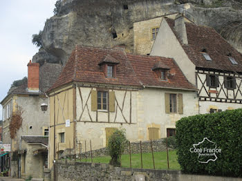 maison à Les Eyzies-de-Tayac-Sireuil (24)