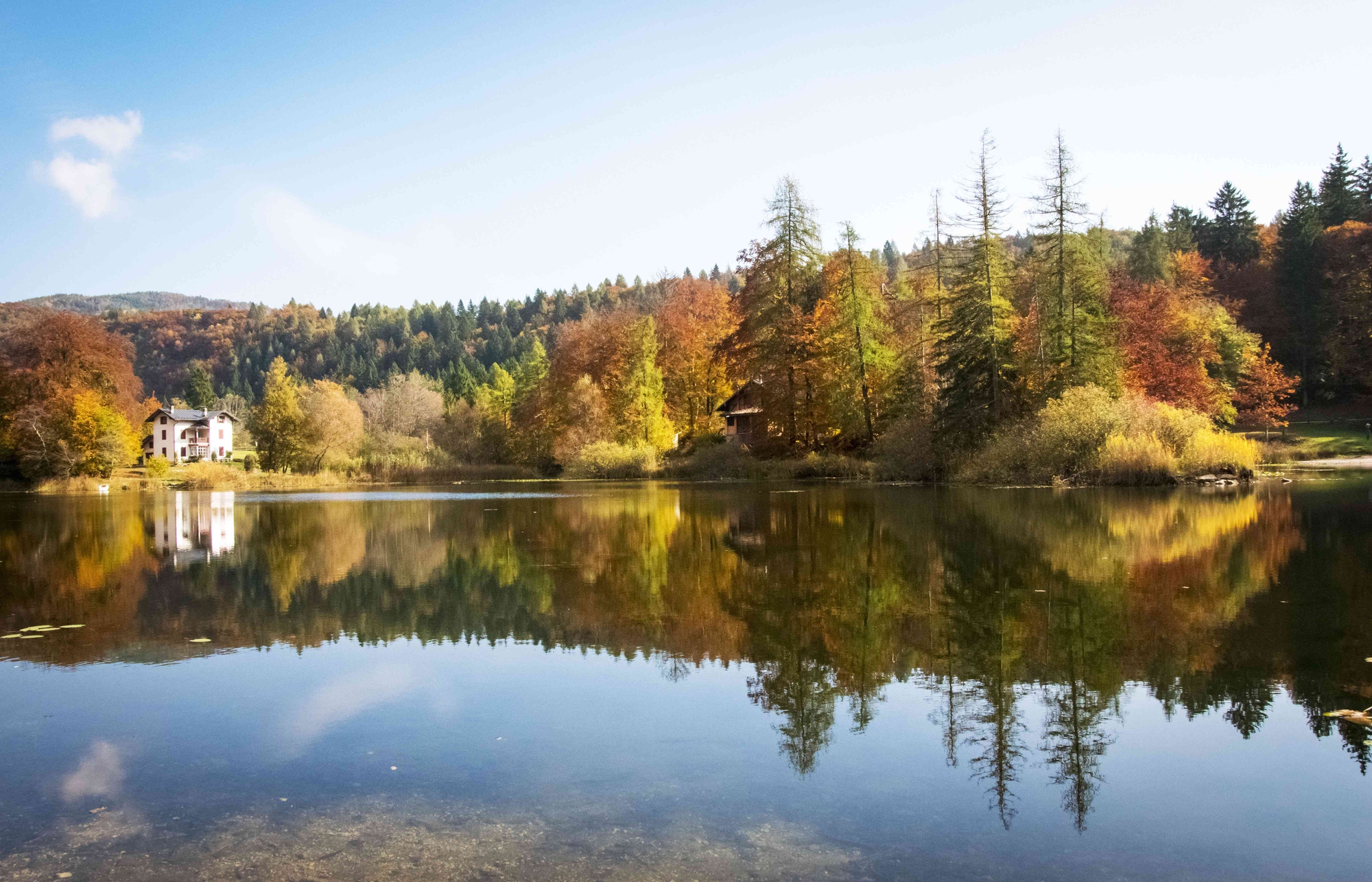 Ordine naturale perfetto...allo specchio di piera_pi