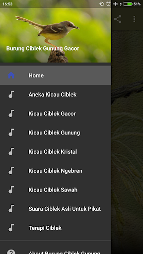 Kicau Ciblek Gunung Gacor 1 0 Apk Download Com Andromo Dev782713