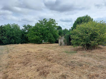 terrain à Camoël (56)