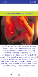 Fetal development stages(圖3)-速報App