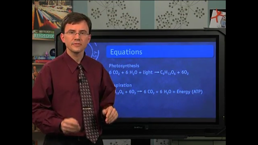 AP Biology tutoring videos