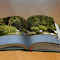 Item logo image for Nature in the book