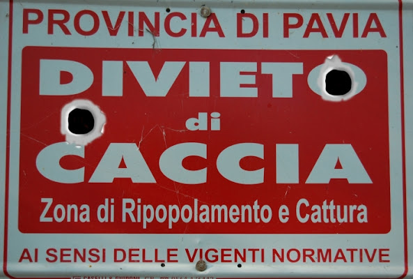 Divieto di caccia... di Silly69