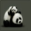 Panda HD Wallpapers New Tab