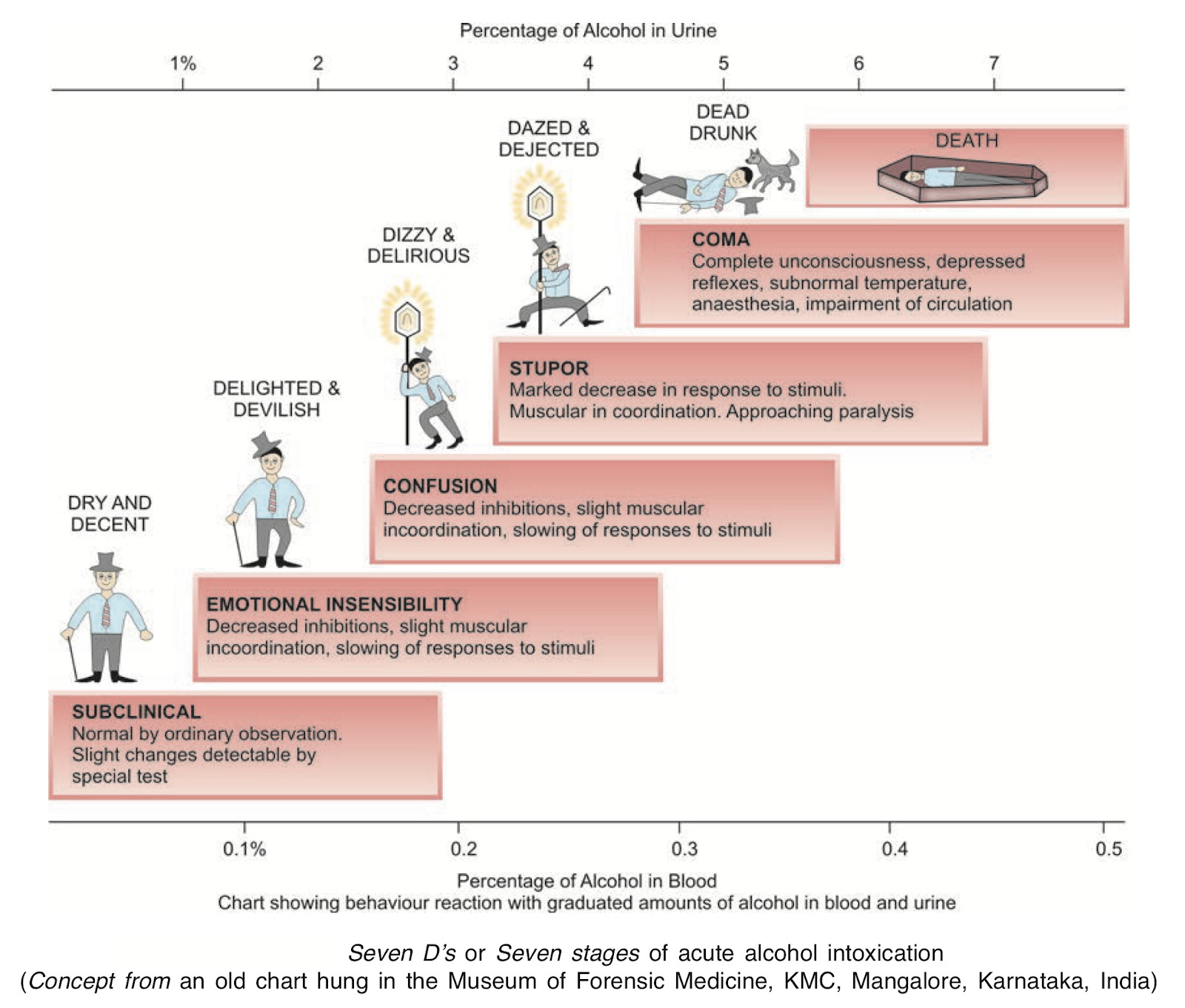 Seven D's Stages of Acute Alcohol Intoxication