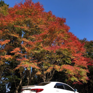 マークX GRX130