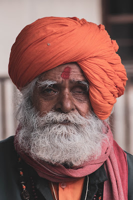 Man from Udaipur di samanthasitzia