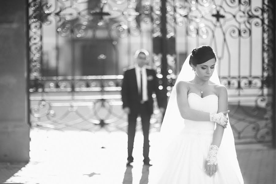 結婚式の写真家Aleksandr Tegza (sanyof)。2013 10月31日の写真