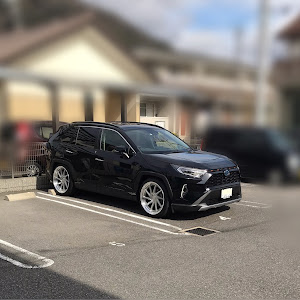 RAV4 AXAH54