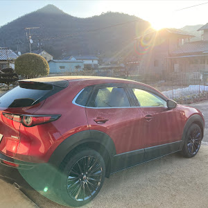 CX-30