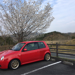 ルポ GTI