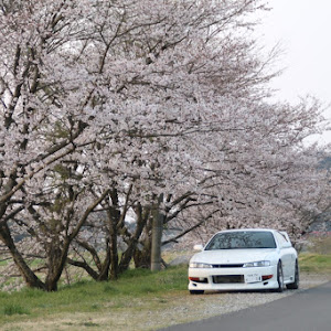 シルビア S14 後期