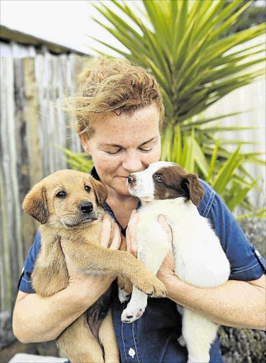 ADOPT US: SPCA East London kennel manager Melanie Fraser with two of the many puppies that landed up at the facility over the past few weeks, leading to a shortage of food and an urgent public appeal for cat and dog food donations Picture: STEPHANIE LLOYD