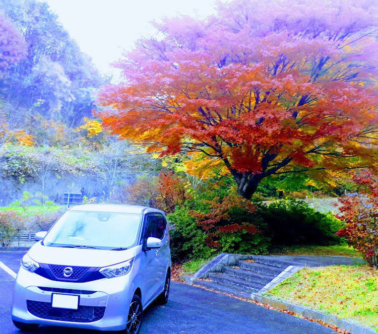 デイズの紅葉と愛車・車写活・紅葉・寒いよ…に関するカスタム事例の投稿画像1枚目