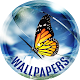 Download Wallpapers with insects For PC Windows and Mac 10.11.2017-insects