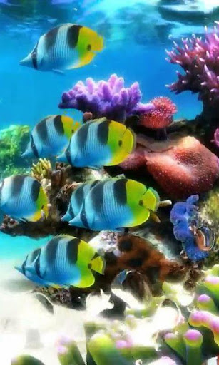 Aquarium 2 live wallpaper