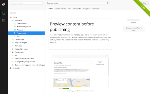 Preview content before publishing 