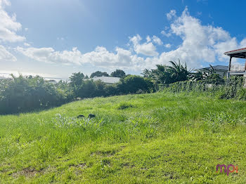 terrain à Sainte luce (972)