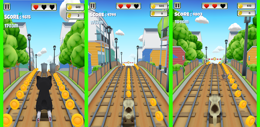 Cat Run 3D