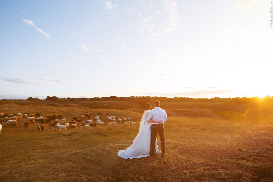 Hochzeitsfotograf Svetlana Chelyadinova (kobzeva). Foto vom 16. Oktober 2019