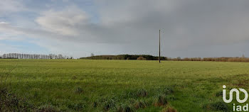 terrain à Saint-Christophe-du-Ligneron (85)