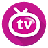 Orion TV1.0.5