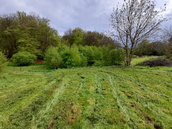 terrain à Chaptelat (87)