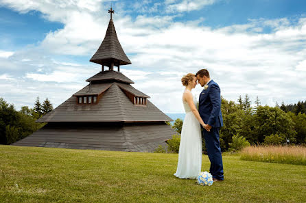 Fotografo di matrimoni Ludvík Danek (ludvik). Foto del 2 aprile 2019