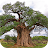 eTrees of Southern Africa icon