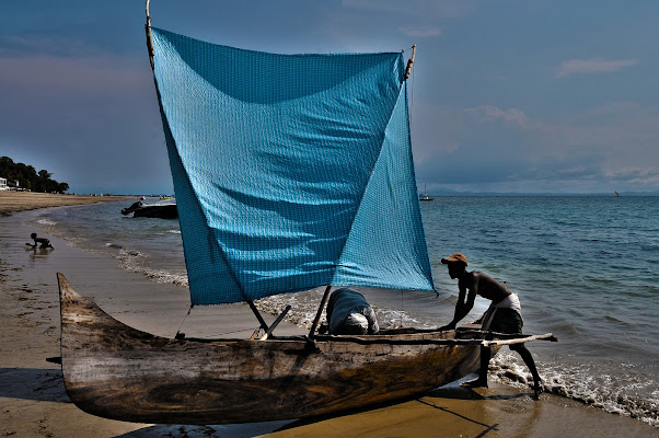 Lupo di mare di Croatti Carlo