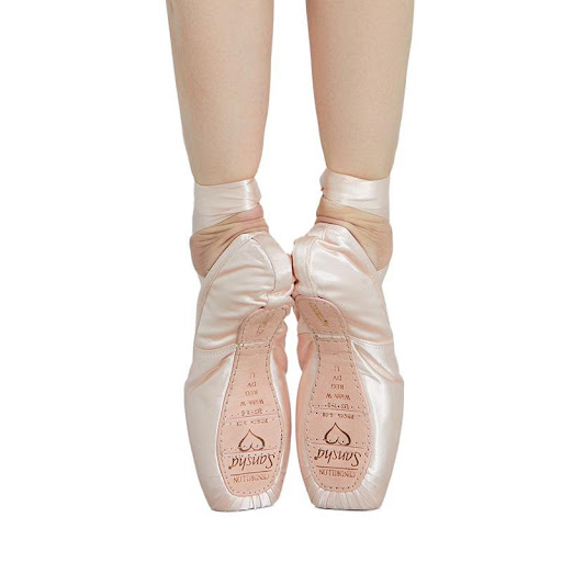 Title 1, Lace-up Ballet Shoes, Satin and Leather Pointe ...