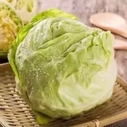 Cabbage