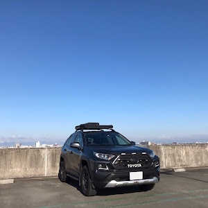 RAV4 MXAA54