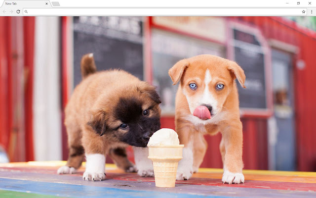 Dogs And Puppies Themes - New Tab