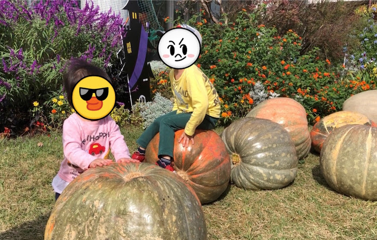 320i Mスポーツのハロウィンイベント・夢の島植物園に関するカスタム事例の投稿画像3枚目