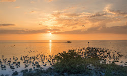 Sunset at Sunset Beach, Treasure Island, Florida