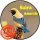 Download Canto de Saíra Amarela For PC Windows and Mac 1.0