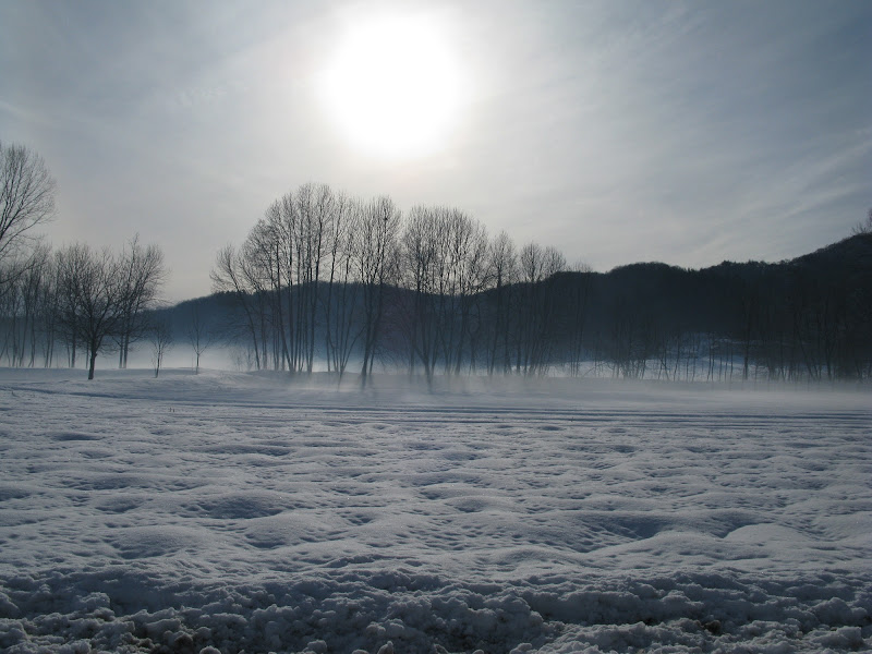 luce fredda di spirito