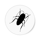 The Cockroaches 1.1.1