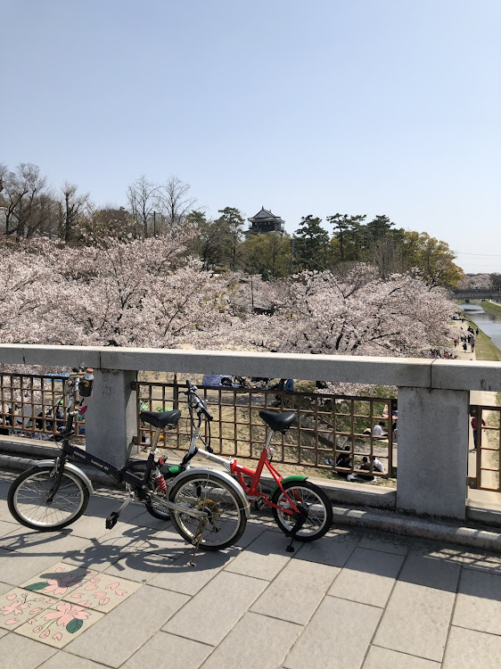 ミラの桜・チャリ・岡崎城に関するカスタム事例の投稿画像5枚目