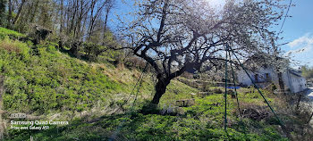 terrain à La Motte-d'Aveillans (38)